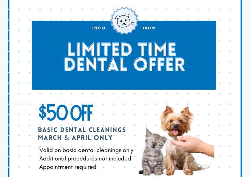 Carousel Slide 1: Click here to book with us today!